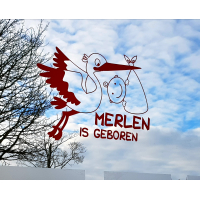 Raamsticker geboorte ooienvaar 