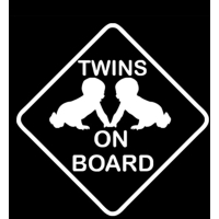 Twins on board