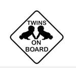 Twins on board