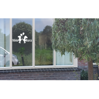 Raamsticker geboorte tweeling meisjes