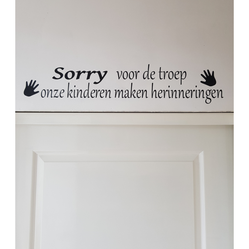 Sorry voor de troep sticker