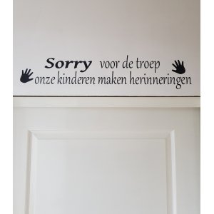 Sorry voor de troep sticker