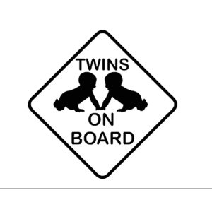 Twins on board