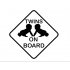 Twins on board